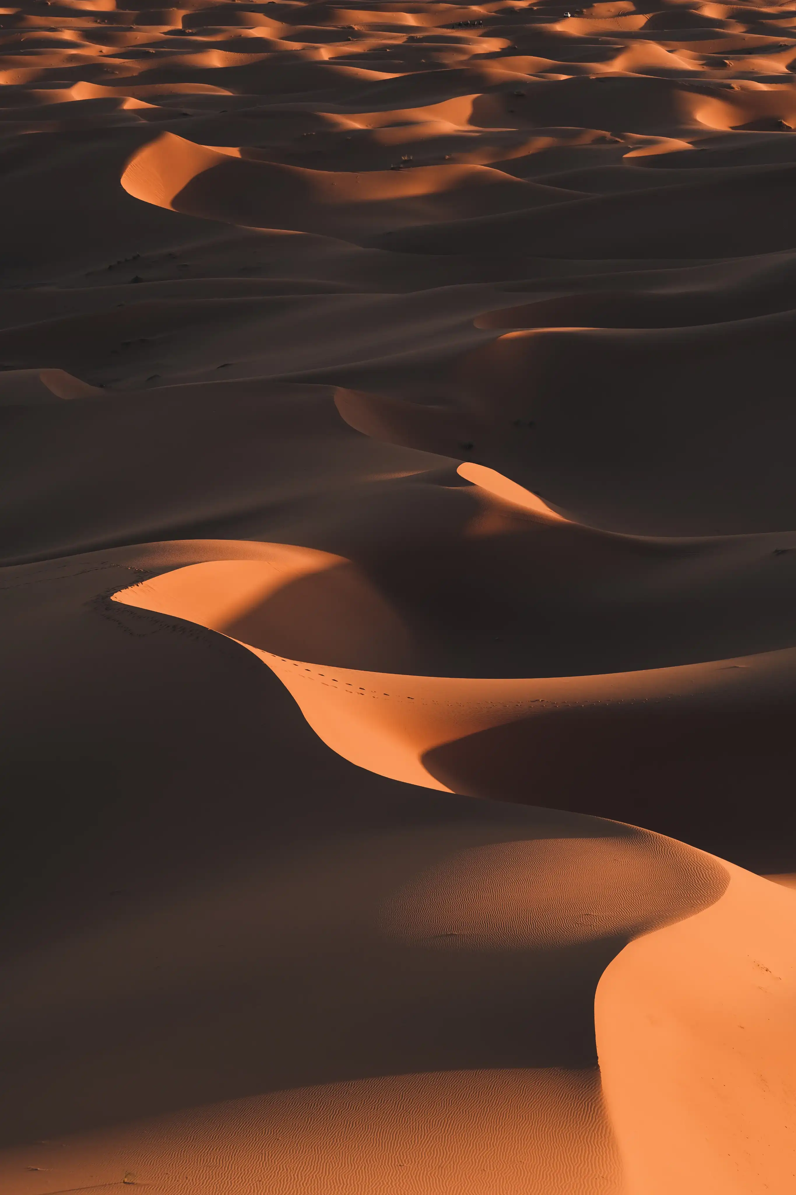 desert