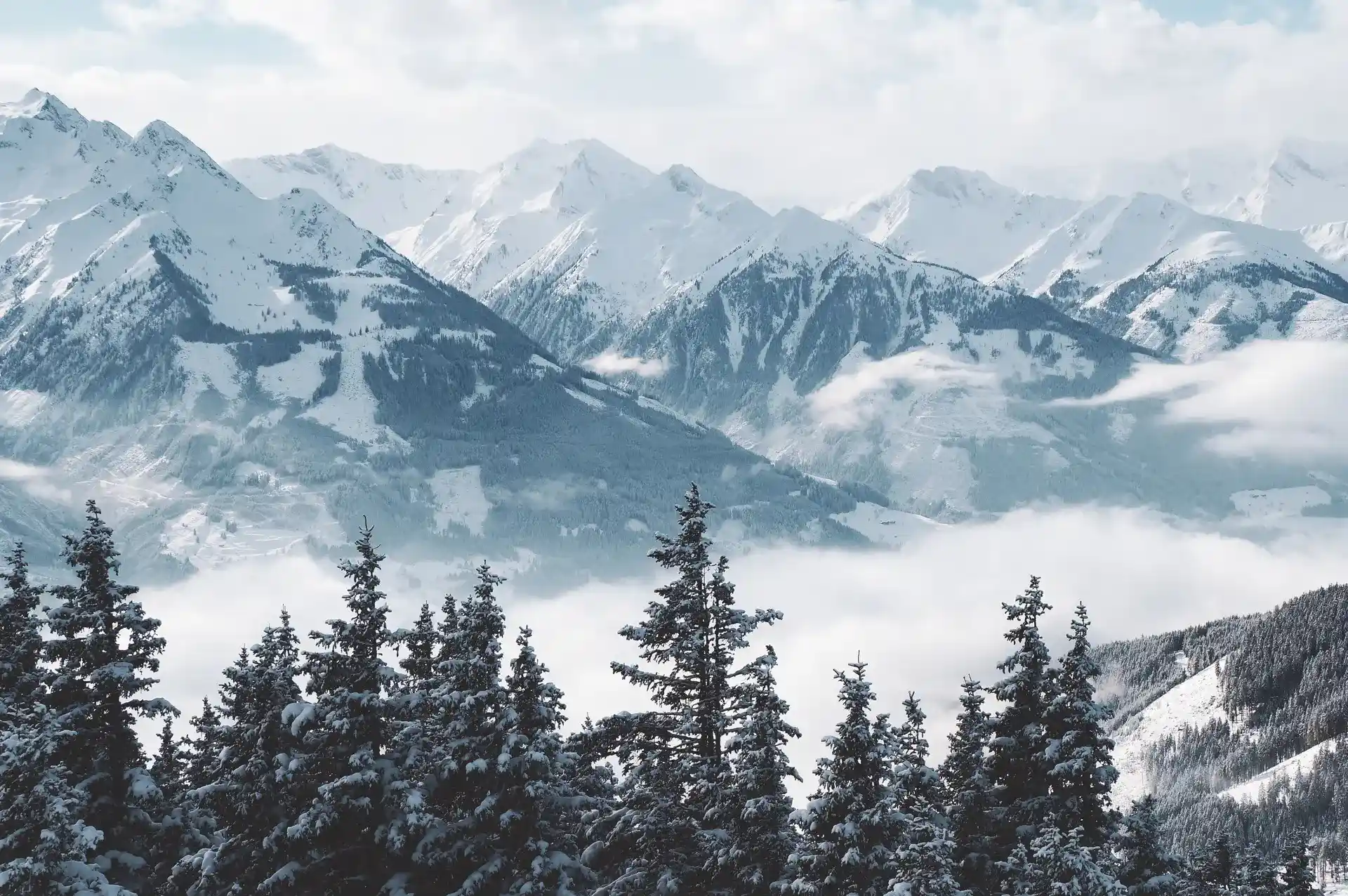 mountains